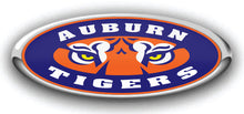Load image into Gallery viewer, College Teams Ford Emblem Overlay Decals-Fits Ford Trucks, Cars, SUVs 3pc Kit
